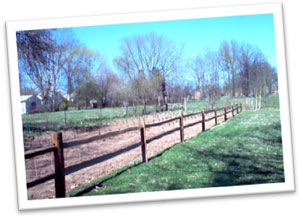 Fence and yard